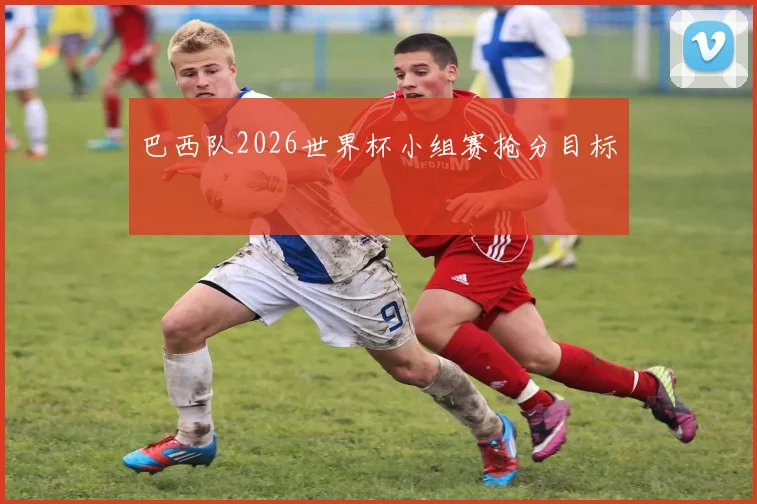 巴西队2026世界杯小组赛抢分目标