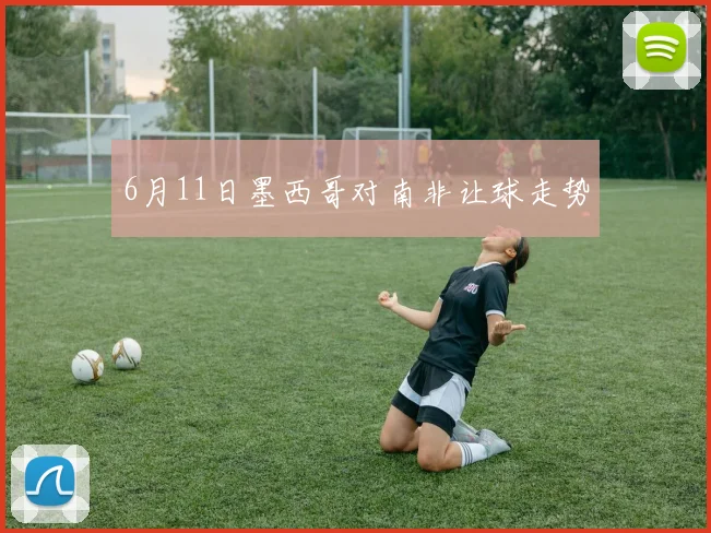 6月11日墨西哥对南非让球走势