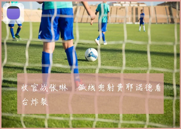 收官战张琳芃弧线兜射费耶诺德看台炸裂