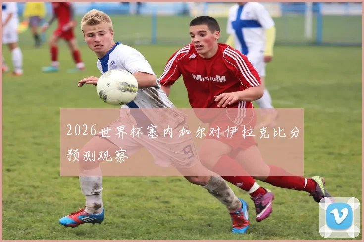 2026世界杯塞内加尔对伊拉克比分预测观察