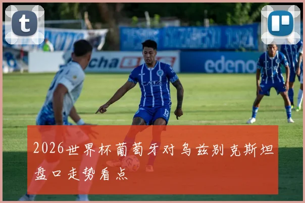 2026世界杯葡萄牙对乌兹别克斯坦盘口走势看点