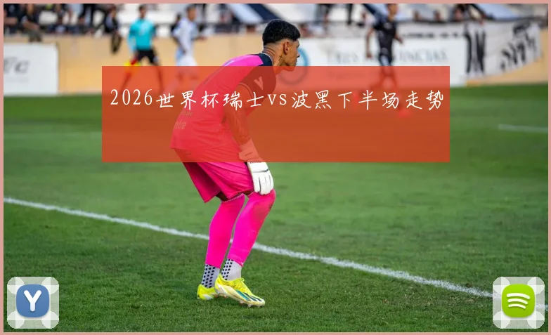 2026世界杯瑞士vs波黑下半场走势
