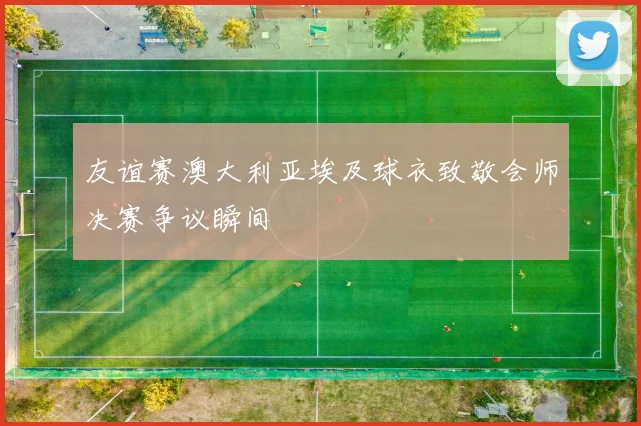 友谊赛澳大利亚埃及球衣致敬会师决赛争议瞬间